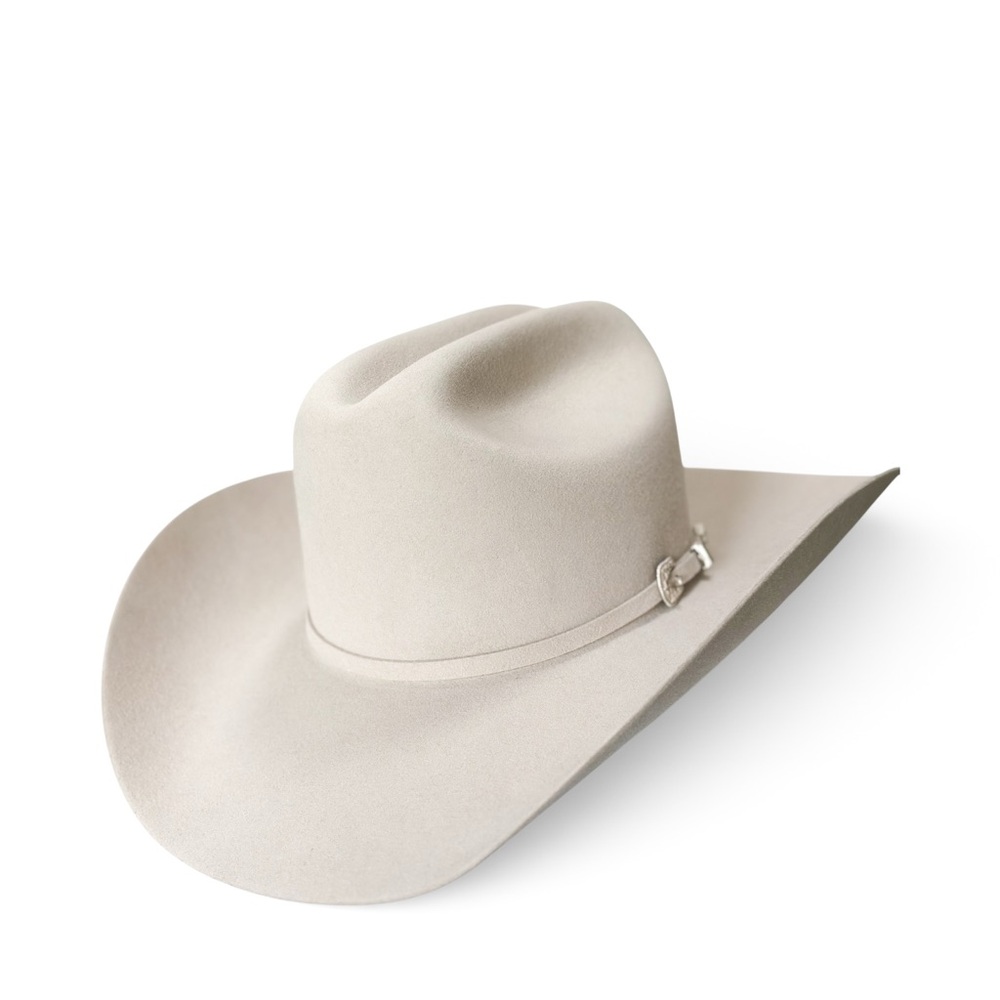 Stetson Skyline 6X Silverbelly Fur Felt Western Cowboy Hat